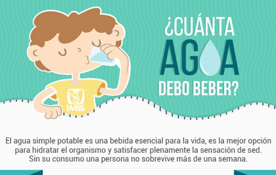 ¿Cuánta agua debo beber?